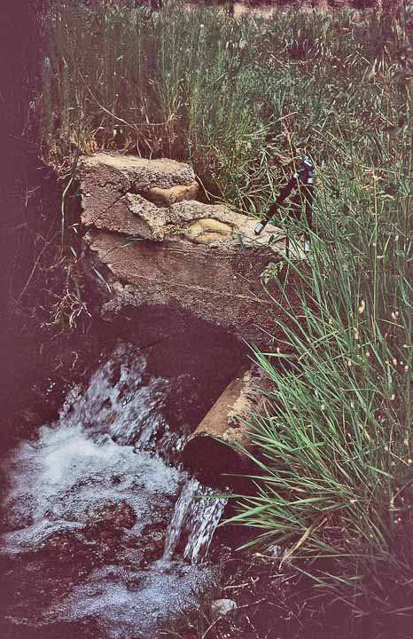 1960s dam at the spring